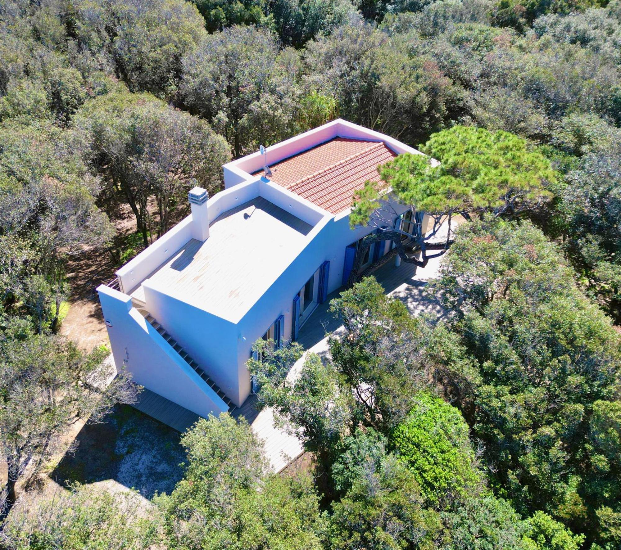 Villa Duna Blu Baratti Bagian luar foto